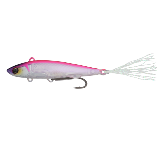 Live Darter