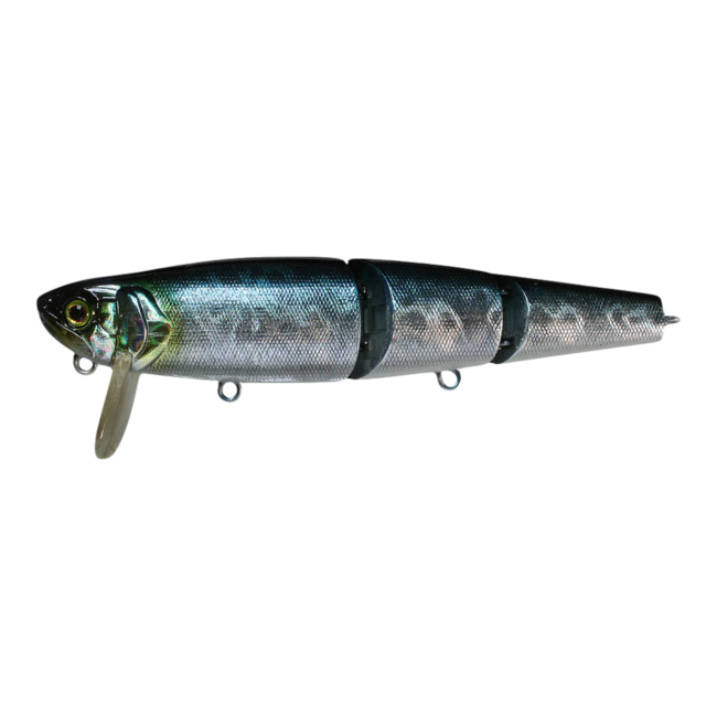 Mikey Jr. CA Trout