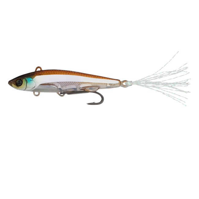 Live Darter