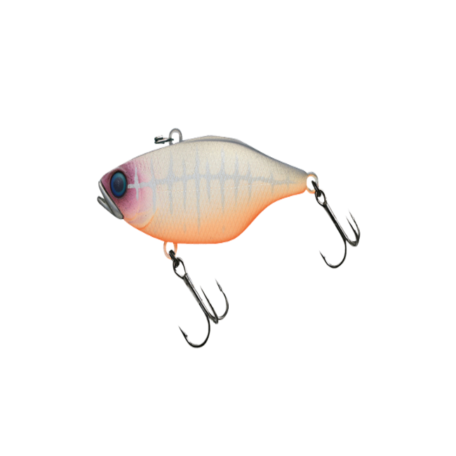 TN