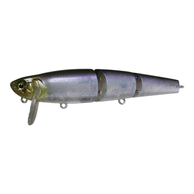 Mikey Jr. CA Trout
