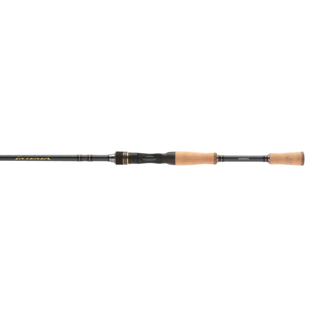Intenza Casting A