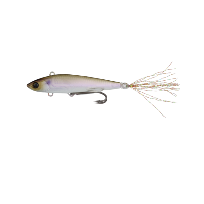 Live Darter