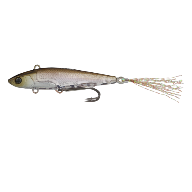 Live Darter
