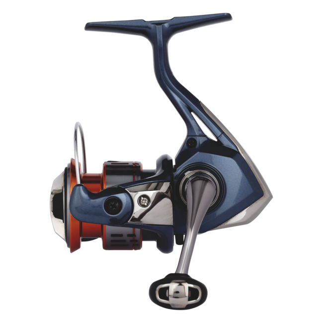 Nasci FD