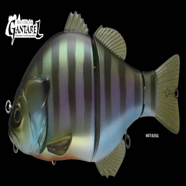 Gantarel Carp