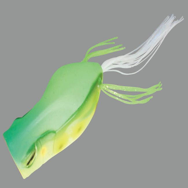 Gavacho Frog
