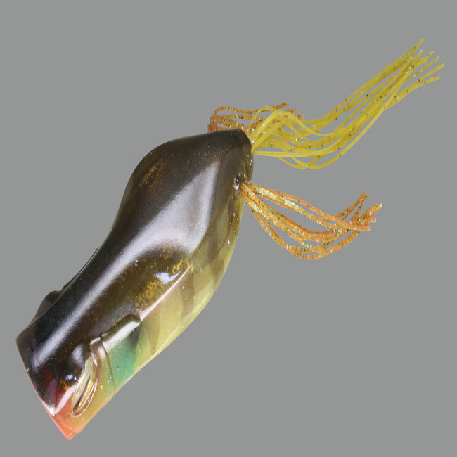 Gavacho Frog