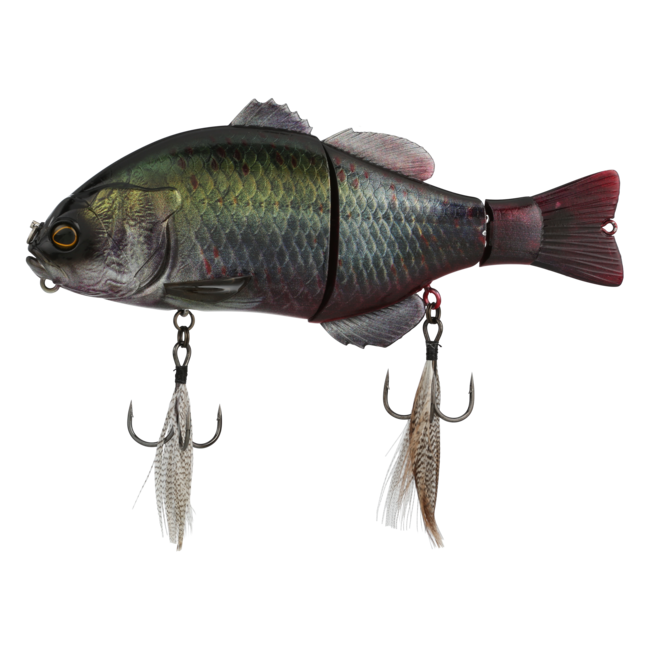 Gantarel Carp