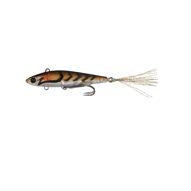 Live Darter
