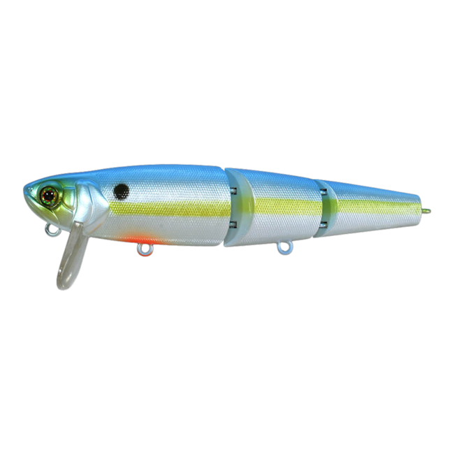 Mikey Jr. CA Trout