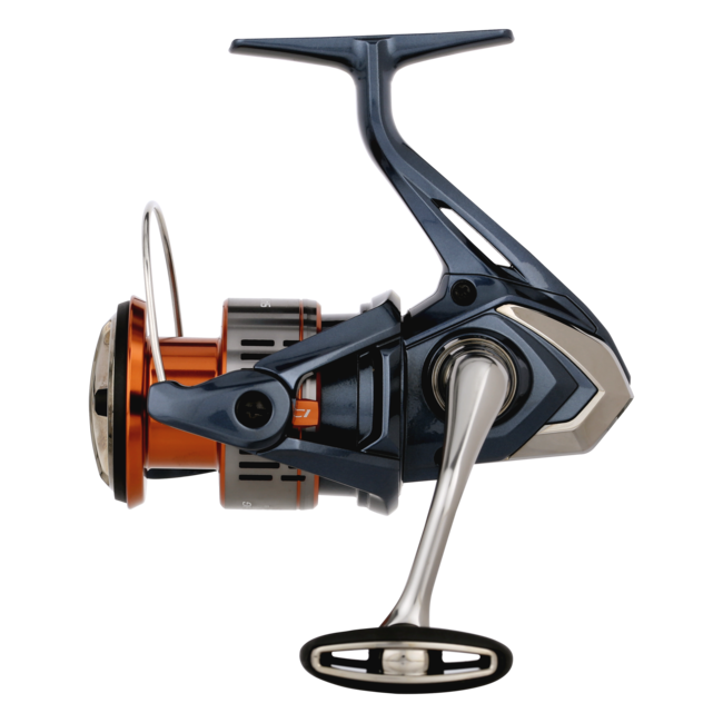 Nasci FD