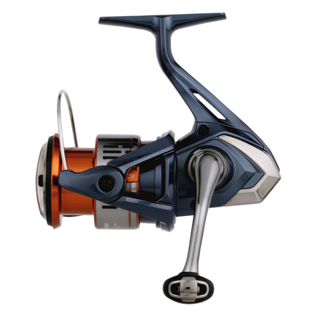 Nasci FD
